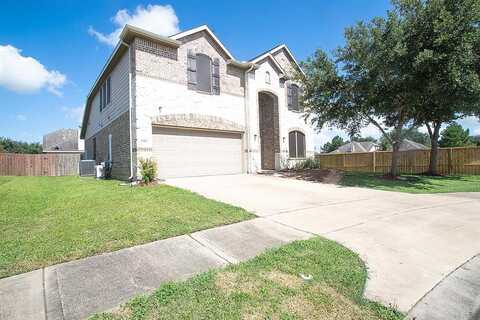 Yellow Maple, FRESNO, TX 77545