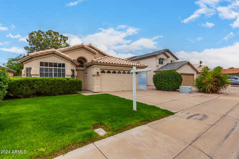 Cholla, CHANDLER, AZ 85224