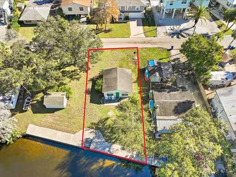 Tropical, WEEKI WACHEE, FL 34607