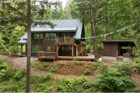 White Fir, MOUNT HOOD PARKDALE, OR 97041