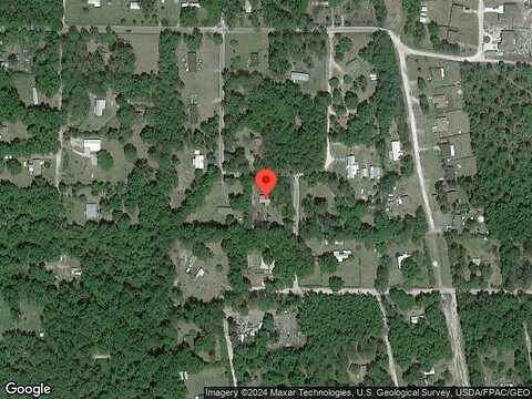 Pine Tree, TALLAHASSEE, FL 32305