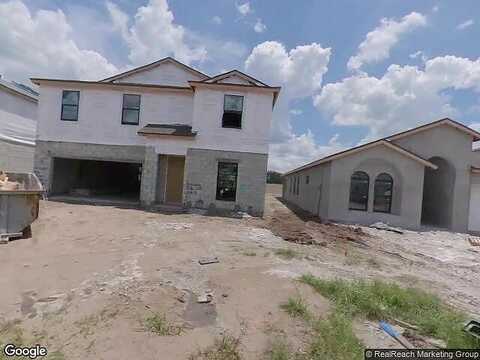 Shetland Walk, LITHIA, FL 33547