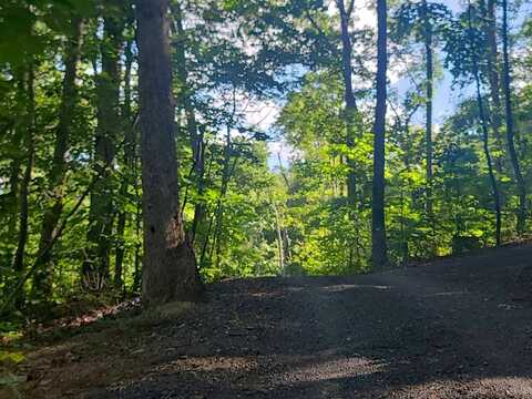 Cabin, MOUNT JACKSON, VA 22842