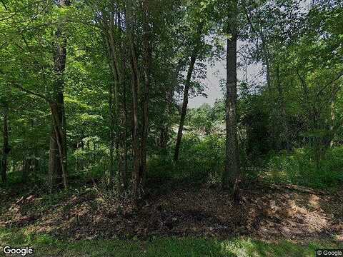 Chestnut Ridge, DOVER PLAINS, NY 12522