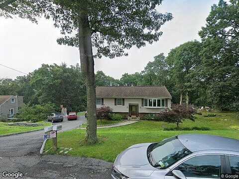 Tulip, MAHOPAC, NY 10541