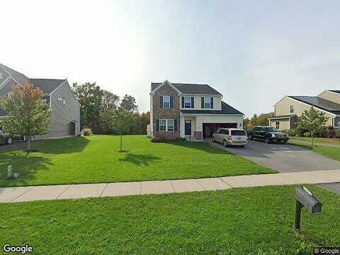 Amber, FARMINGTON, NY 14425