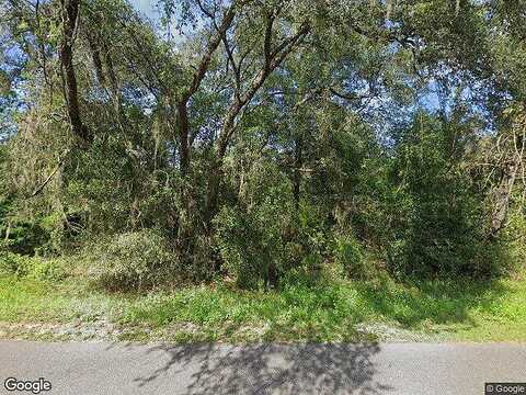 126Th, WILLISTON, FL 32696