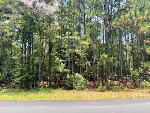 Lot 3 Fairway Lane, Barnwell, SC 29812