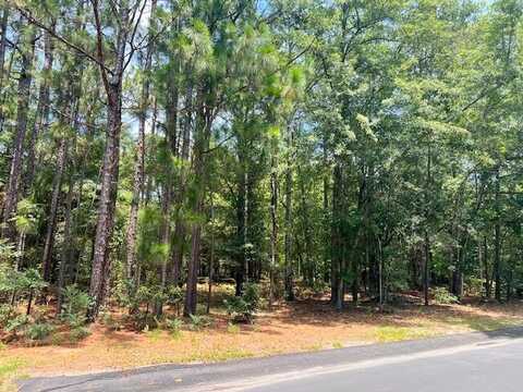 Lot 2 Fairway Lane, Barnwell, SC 29812