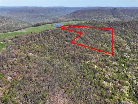 14.42 Acres Bidville (14.42 Acres) RD, Winslow, AR 72959