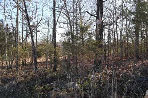 TBD Candlewood Rd, Viola, AR 72583