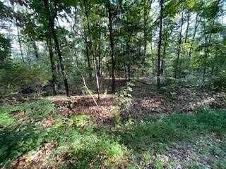 Lot 45 Rochester DR, Bella Vista, AR 72714