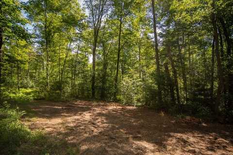 Lot 4 County Line Road, Venus, PA 16364