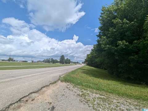 0 (1.46 Acres) HIGHWAY 21, JACKSONVILLE, AL 36265