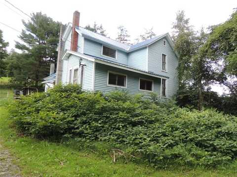 109 Finch Avenue, Sidney, NY 13849