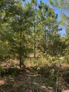 Lot 6 Deep Creek Rd, Cordele, GA 31078