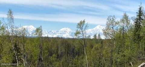 Talkeetna Spur Road, Talkeetna, AK 99676