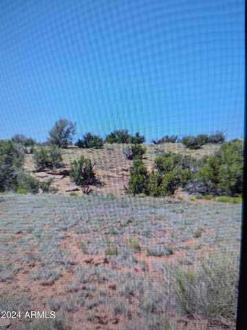 N9330 County Road, Concho, AZ 85924