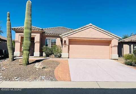 Lace Cactus, MARANA, AZ 85658