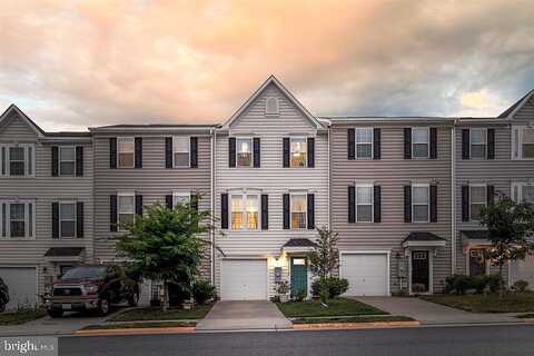 Elm Tree, CHARLOTTESVILLE, VA 22911