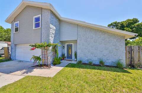 Sherbrook, VALRICO, FL 33594