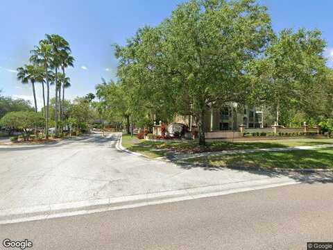 Carrington Park, TAMPA, FL 33647