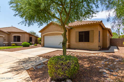 Glenrosa, LITCHFIELD PARK, AZ 85340