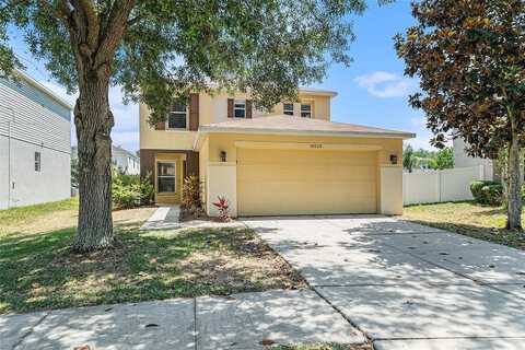 Parapet, LAND O LAKES, FL 34638