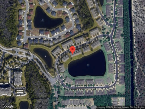 Surfbird, JACKSONVILLE, FL 32256