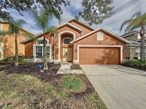 Orange Cosmos, DAVENPORT, FL 33837