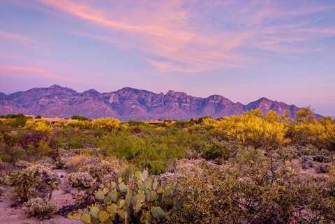 Shimmering Sand, ORO VALLEY, AZ 85755