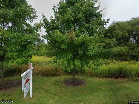 River Birch, MEQUON, WI 53092