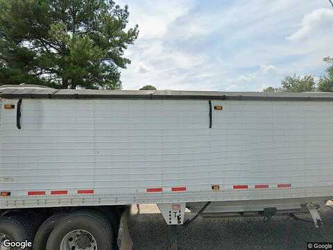 Chimney Swift, CAMERON, SC 29030