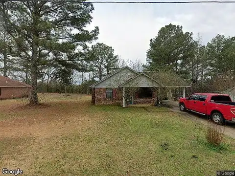 Camellia, BOONEVILLE, MS 38829