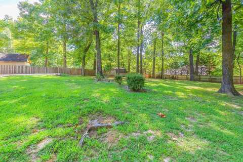 Countrywood, JACKSON, TN 38305