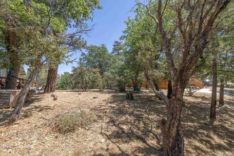 0 Sheephorn Road, Big Bear City, CA 92314