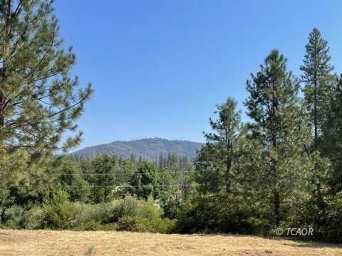 2390 Lewiston Rd, Lewiston, CA 96052