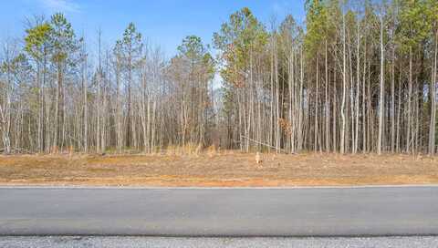 0 Crockett Point, Jasper, TN 37347