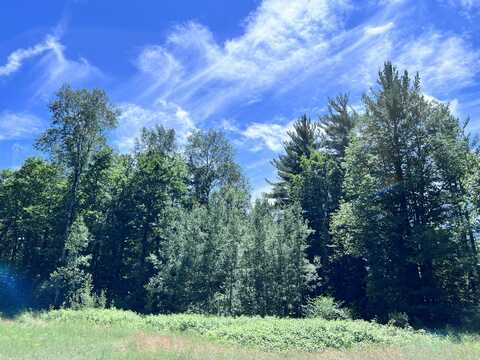 TITTABAWASSEE TRAIL 5.67 ACRES, GAYLORD, MI 49735