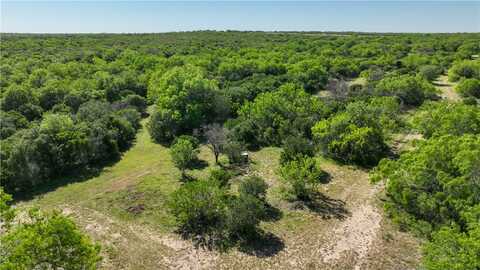 48ac County Road 114, George West, TX 78022