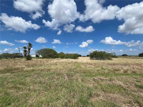 3219 County Road 81, Robstown, TX 78380