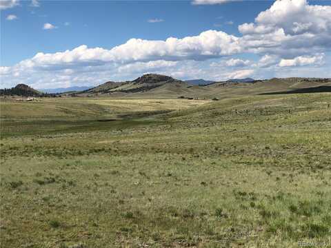 4913 Kinkehee Trail, Hartsel, CO 80449