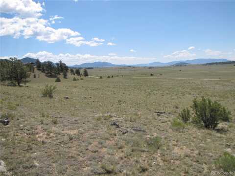 111 Superstition Trail, Hartsel, CO 80449