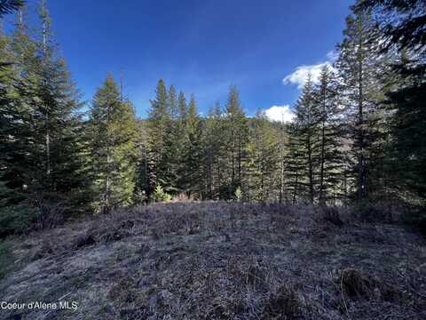 2.42 Acres Bear Creek Rd, Kingston, ID 83839