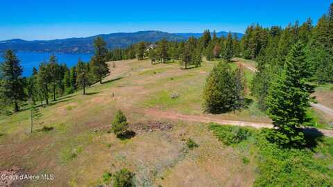 Lot 1 S Skyview Rd, Harrison, ID 83833