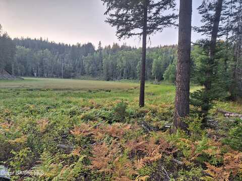 354 Swamp Donkey Trail, Sandpoint, ID 83864