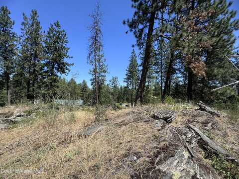 12243 W Riverview Ter, Post Falls, ID 83854