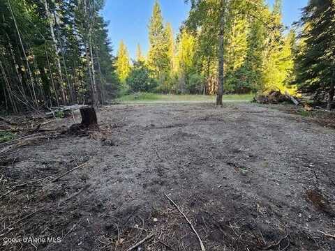 Lots 1,2 & 3 Kokanee Ave, Bayview, ID 83803