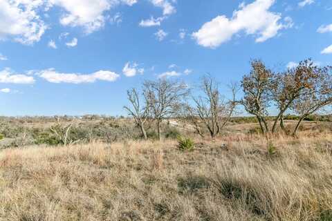 2897 Schneider-Moellering Rd, Fredericksburg, TX 78624