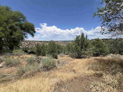 730 Canyon Drive, Cortez, CO 81321